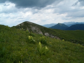 Sopra le colline.jpg